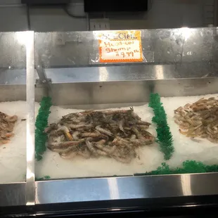 Shrimp counter