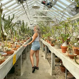 Cactus puns are succulent