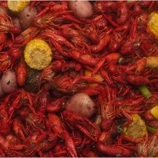 Best Crawfish in Houston