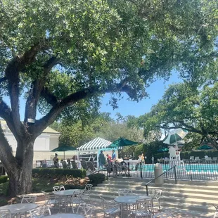 Oaks provide the perfect canopy over this gorgeous pool