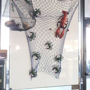 lobsters in a net