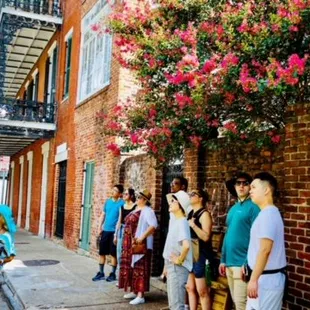 New Orleans Green Tour in the French Quarter.