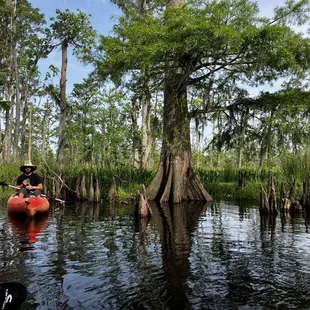Our down to earth tour guide telling us about cypress knees and other stuff.