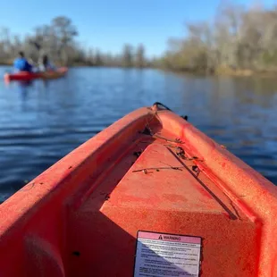 Swamp, Kayak, people
