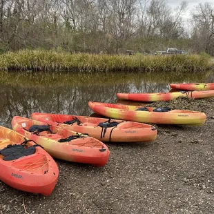 They provided sturdy, beginner-friendly kayaks. First-time kayaker approved!