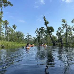 Bayou Kayak