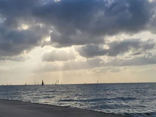 Lakeshore Drive