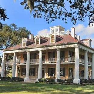 All-Day Plantation Tour