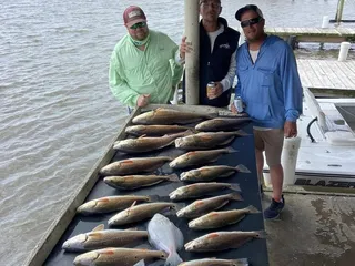 Big Dog Fishing Charters