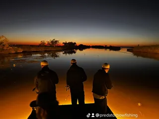 Predator Bowfishing