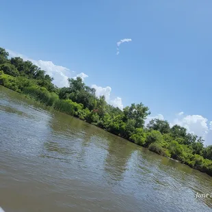 New Orleans Swamp Tours