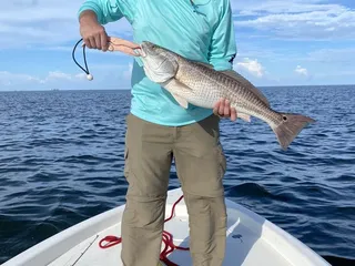 St Bernard Fishing Charters