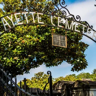 Lafayette #1 Cemetery from our Garden District Combo