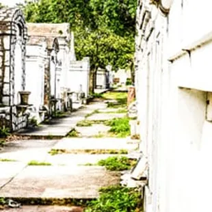 New Orleans Cemetery Tour