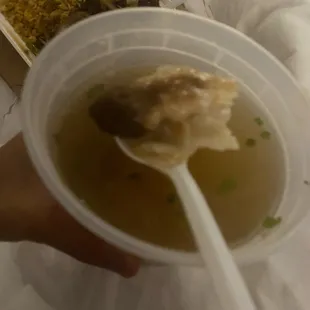 Wonton Soup