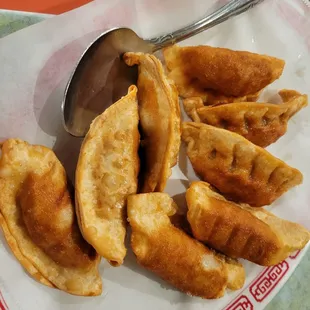 Fried Dumplings