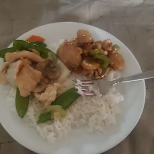 Cashew Chicken