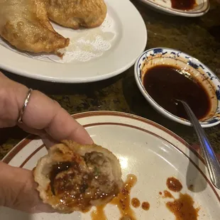 Pot Stickers