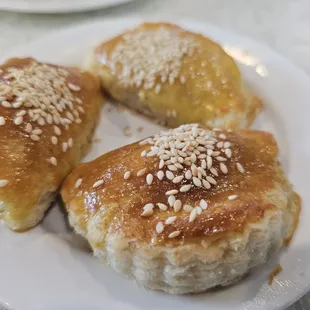 10-26-24. BBQ Pork Pastry