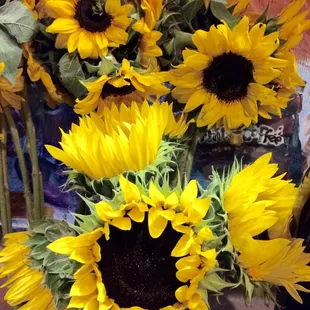Pretty sunflowers