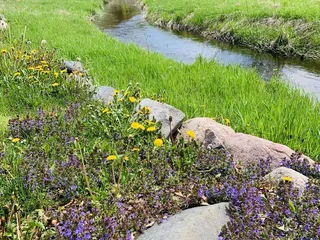 CreeksBend Golf Course