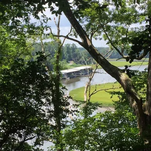 View of the water from the trail