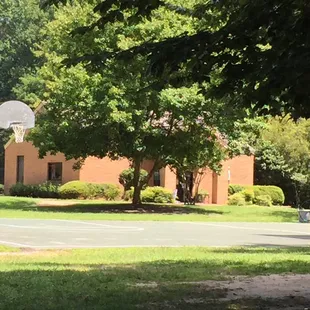 Basketball court