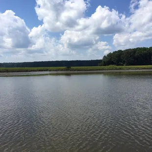 View from the floating dock