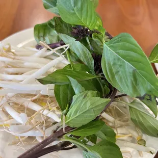 ramen and noodles, noodles, noodle dish, food, ramen, noodle soup