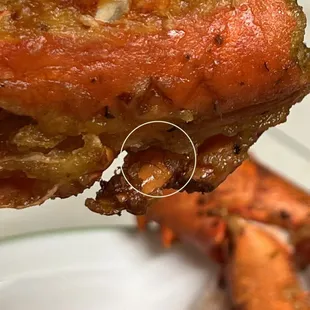 Circled are hair bits.