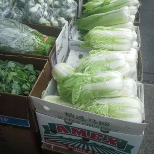 Produce