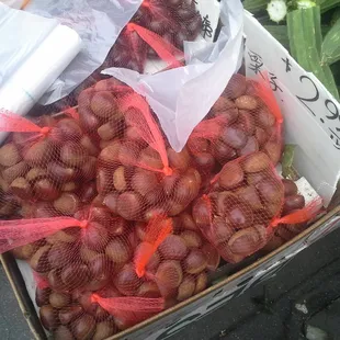 Produce