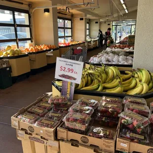 3/31/24 Happy Easter, enclosed produce