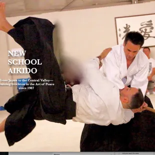 newschoolaikido.net