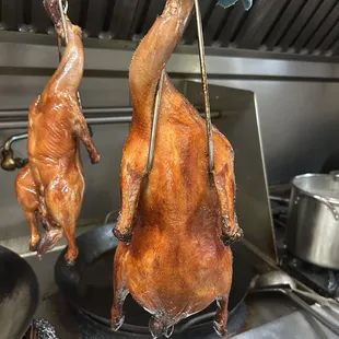 BBQ duck