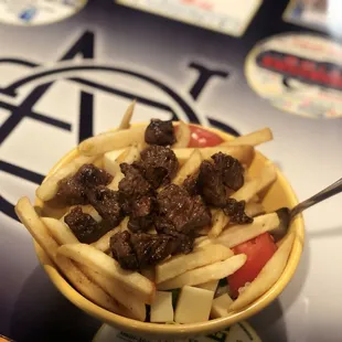 a bowl of french fries and beef
