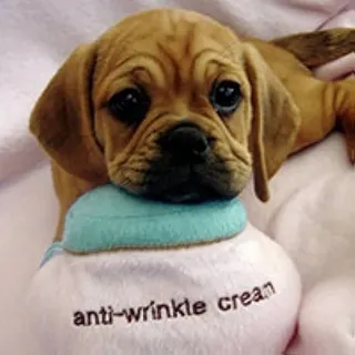 True Stories Only K.