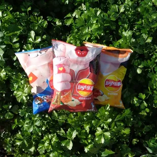 Lays china local flavors