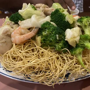 Combination Crispy Fried Noodles