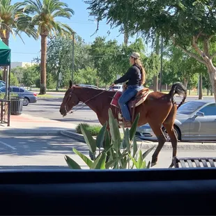 A Going Away Present Being Delivered in the Parking Lot. Watch out!