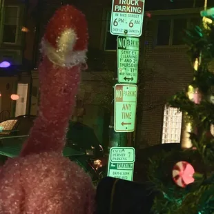 Not sure if I&apos;m more confused of the parking signs or that Christmas flamingoes&apos; ass. ¯\_(ツ)_/¯