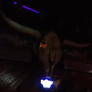 a bull's skull with glowing horns