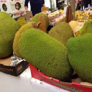 More jackfruits!