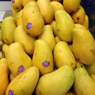 More big mangoes!
