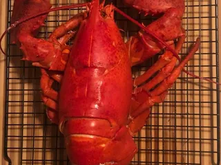 Lobster Bros Seafood