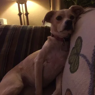 Amy D.