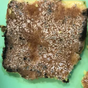 Moldy sfouf