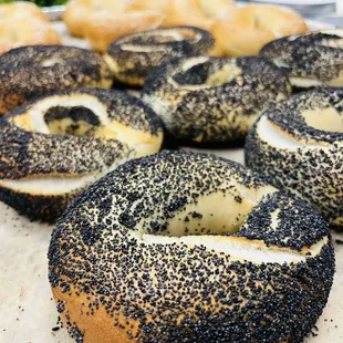 New York Bagel Company