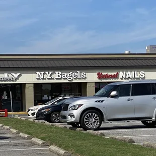N.Y. Bagels