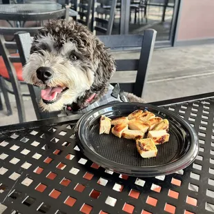 Chicken for my pup